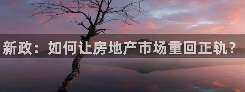 新宝那2O5O5O：新政：如何让房地产市场重回正轨？