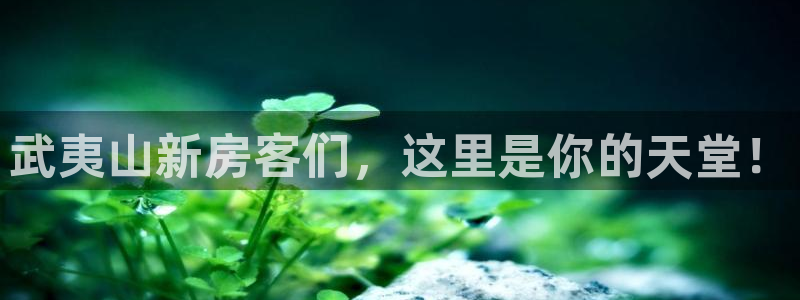 新宝5注册首页：武夷山新房客们，这里是你的天堂！
