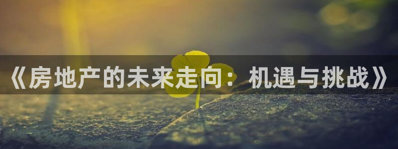新宝5网站