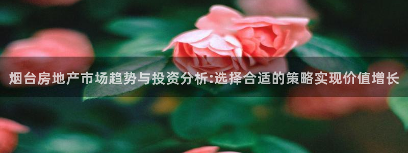新宝5娱乐平台：烟台房地产市场趋势与投资分析:选择合适的策略