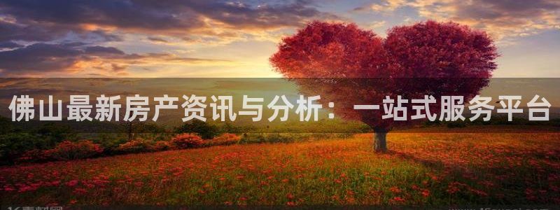 新宝5 测速：佛山最新房产资讯与分析：一站式服务平台