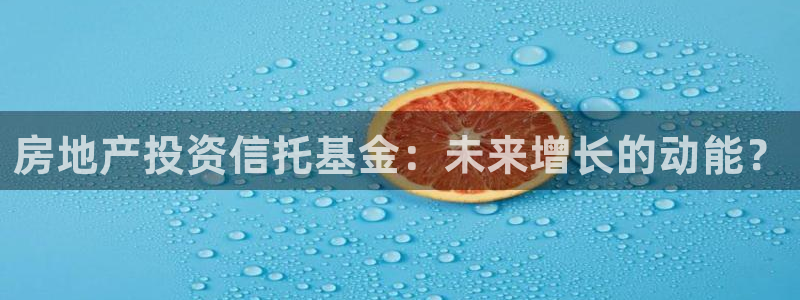 新宝gg5：房地产投资信托基金：未来增长的动能？
