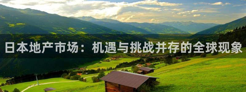 新宝5招商222111：日本地产市场：机遇与挑战并存的全球现