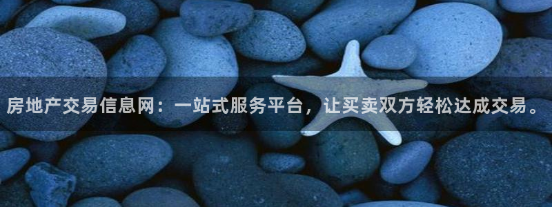新宝5手机app：房地产交易信息网：一站式服务平台，让买卖双