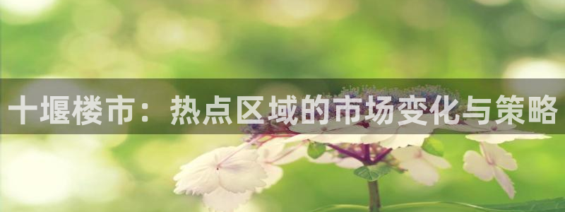 新宝5彩票娱乐平台