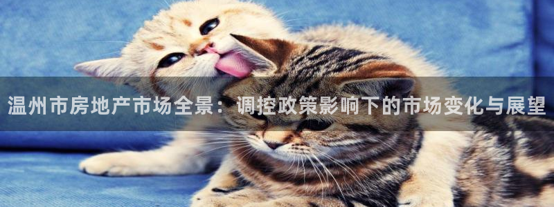 新宝5挂机：温州市房地产市场全景：调控政策影响下的市场变化与