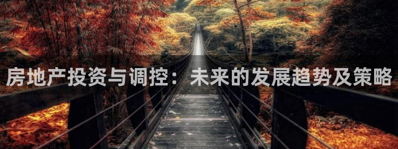 新宝5软件下载：房地产投资与调控：未来的发展趋势及策略