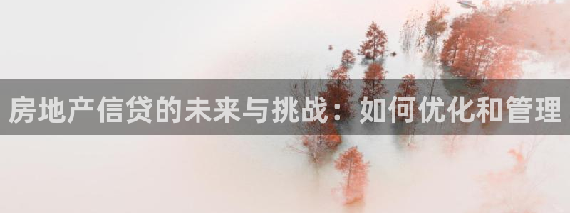 新宝5d：房地产信贷的未来与挑战：如何优化和管理