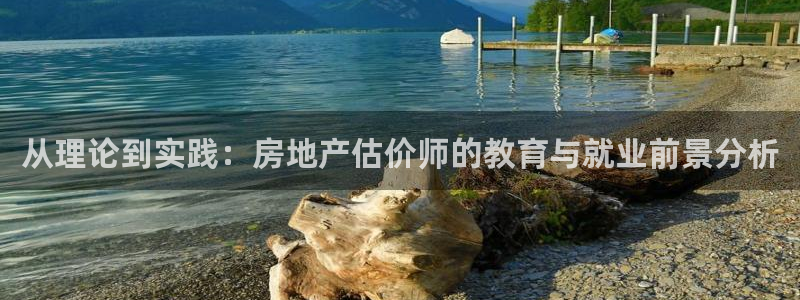 新宝5是谁：从理论到实践：房地产估价师的教育与就业前景分析