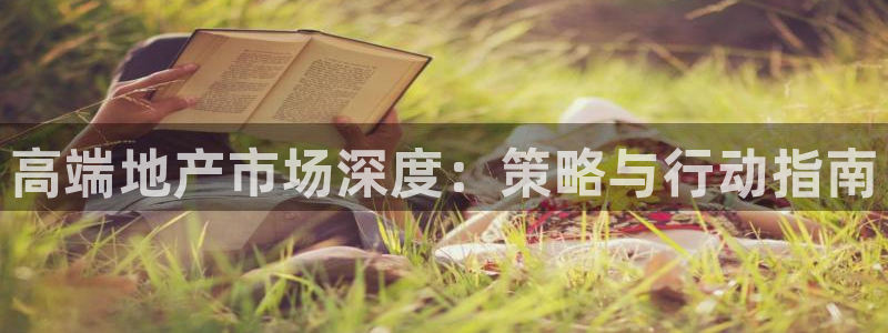 新宝5-测速：高端地产市场深度：策略与行动指南