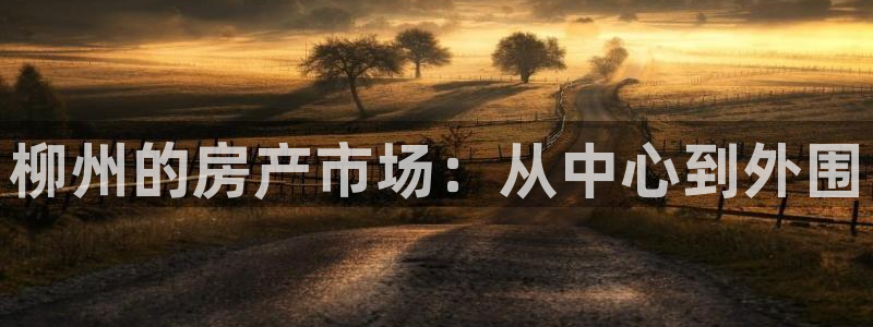 新宝5测速平台登录：柳州的房产市场：从中心到外围