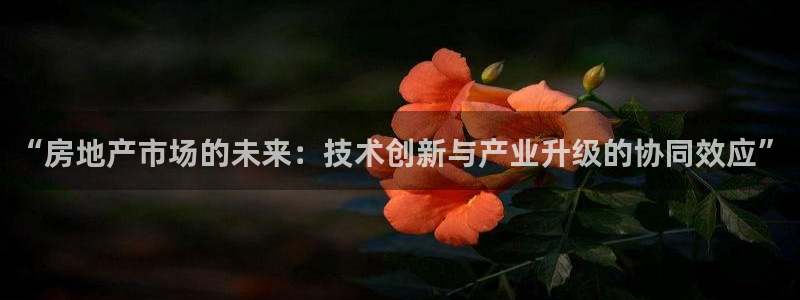新宝5登录入口网址：“房地产市场的未来：技术创新与产业升级的