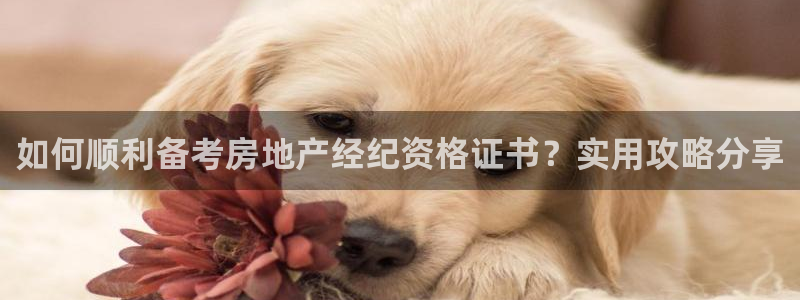 新宝6霸哥5：如何顺利备考房地产经纪资格证书？实用攻略分享