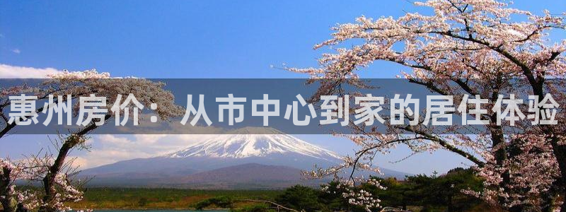 新宝5登录平台：惠州房价：从市中心到家的居住体验