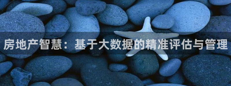 新宝5测速：房地产智慧：基于大数据的精准评估与管理