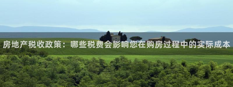 新宝5在哪里：房地产税收政策：哪些税费会影响您在购房过程中的