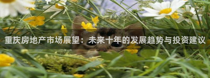 新宝5登录入口网址：重庆房地产市场展望：未来十年的发展趋势与