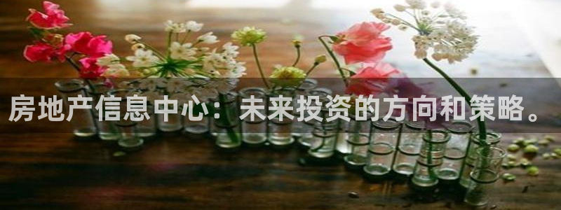 新宝5官方：房地产信息中心：未来投资的方向和策略。
