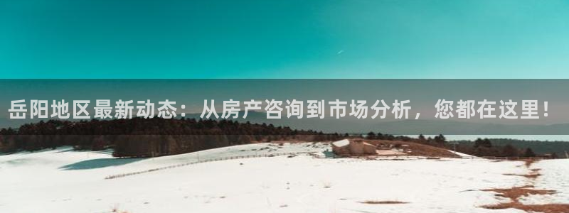 新宝股东瞧听2 5 5：岳阳地区最新动态：从房产咨询到市场分