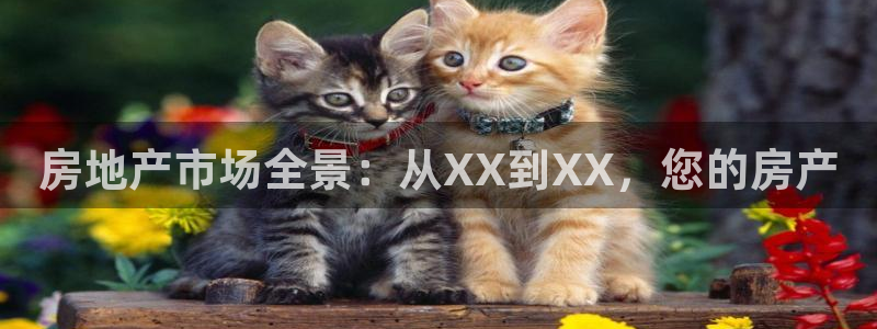 新宝5什么时候上市
