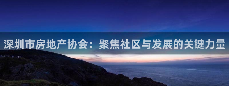 新宝5娱乐然：深圳市房地产协会：聚焦社区与发展的关键力量