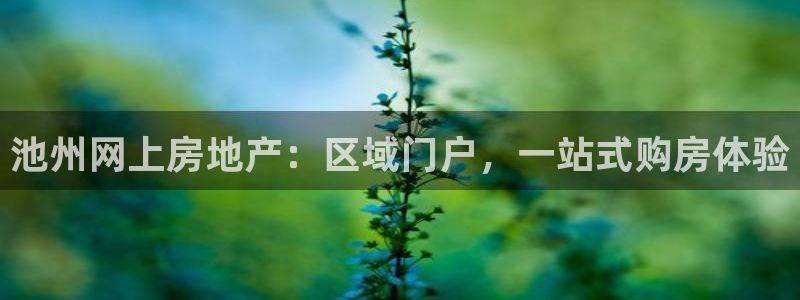 新宝5是谁的