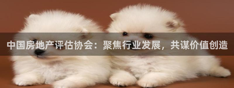 新宝5登录地址：中国房地产评估协会：聚焦行业发展，共谋价值创