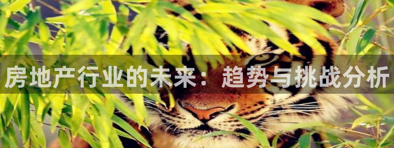 新宝5口67五壹叁八：房地产行业的未来：趋势与挑战分析