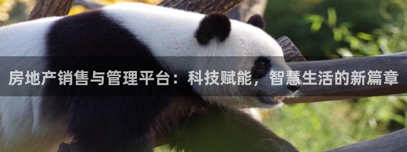 新宝5登录：房地产销售与管理平台：科技赋能，智慧生活的新篇章