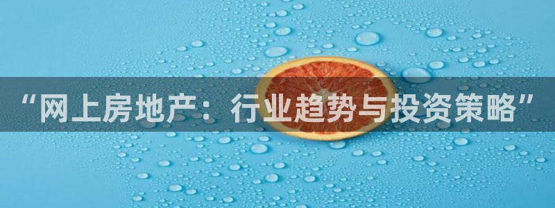 新宝5注册：“网上房地产：行业趋势与投资策略”