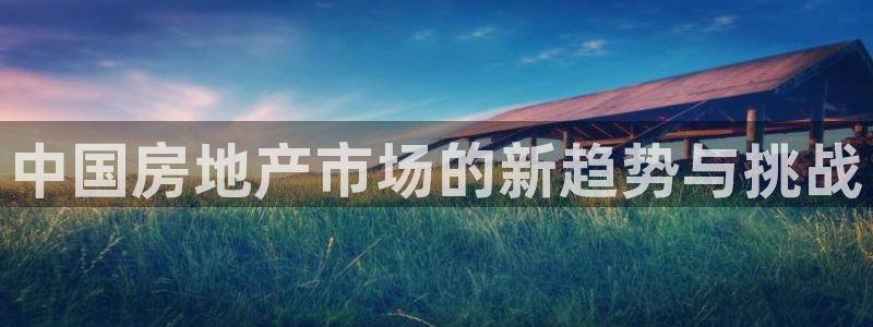 新宝5下载到桌面：中国房地产市场的新趋势与挑战