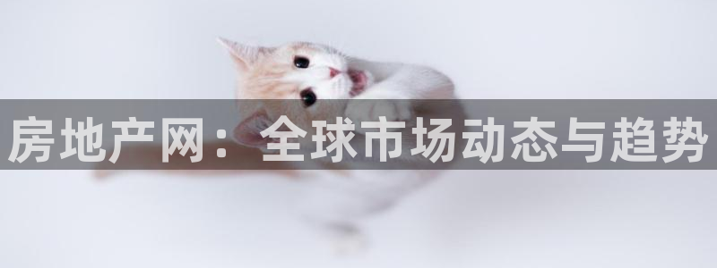 新宝5-：房地产网：全球市场动态与趋势