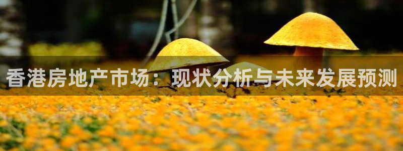 新宝5官方网站：香港房地产市场：现状分析与未来发展预测