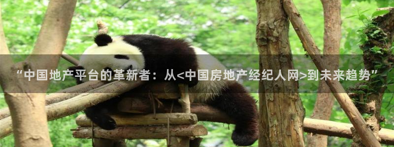 新宝5手机测速：“中国地产平台的革新者：从<中国房地产经纪人