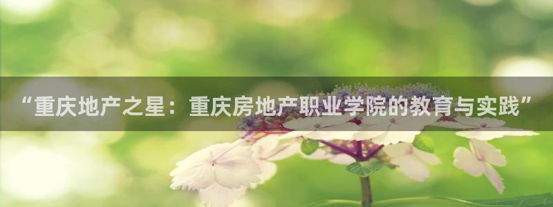 新宝测速5：“重庆地产之星：重庆房地产职业学院的教育与实践”
