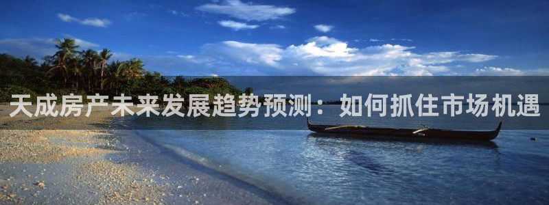 新宝h2O5O5O：天成房产未来发展趋势预测：如何抓住市场机