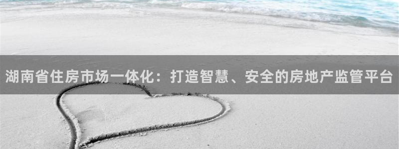 5新宝：湖南省住房市场一体化：打造智慧、安全的房地产监管平台