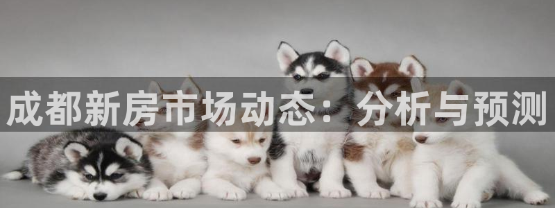 新宝5手机版：成都新房市场动态：分析与预测