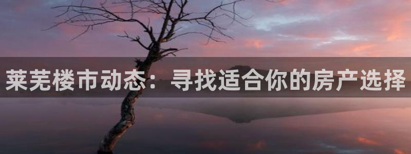 新宝5下载官方：莱芜楼市动态：寻找适合你的房产选择