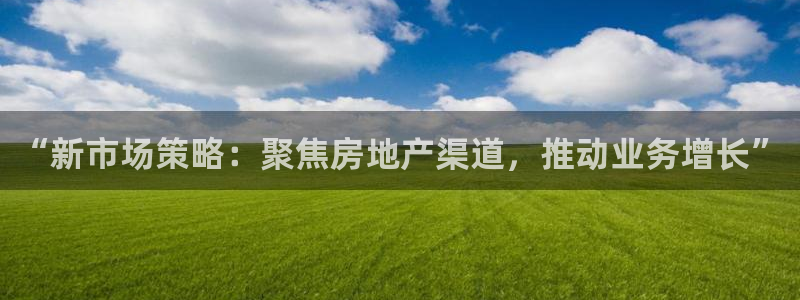 新宝新5：“新市场策略：聚焦房地产渠道，推动业务增长”