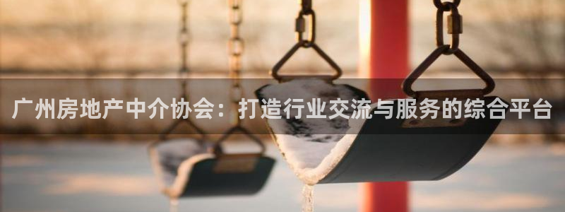 新宝5娱乐然：广州房地产中介协会：打造行业交流与服务的综合平