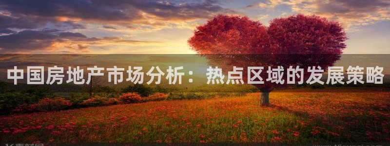 新宝5褚74OOO5：中国房地产市场分析：热点区域的发展策略
