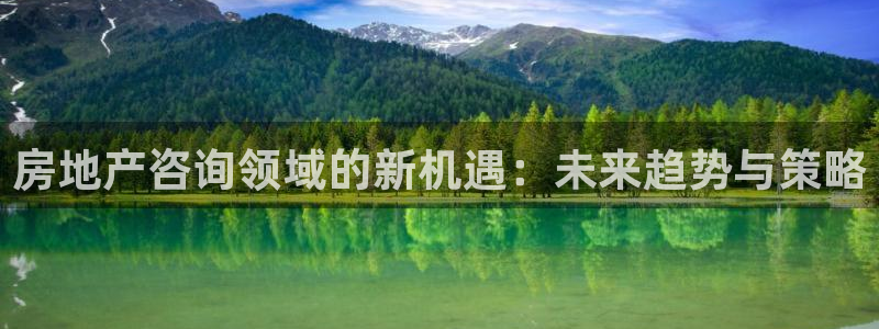 新宝5什么时候上市：房地产咨询领域的新机遇：未来趋势与策略