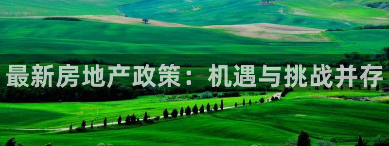 新宝5授权：最新房地产政策：机遇与挑战并存