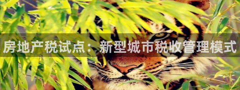 新宝5娱乐登录：房地产税试点：新型城市税收管理模式