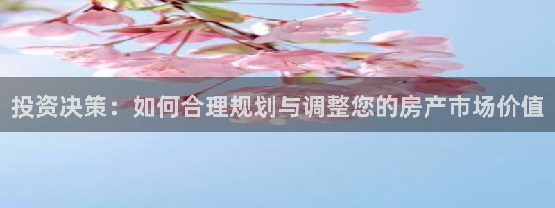 新宝5天