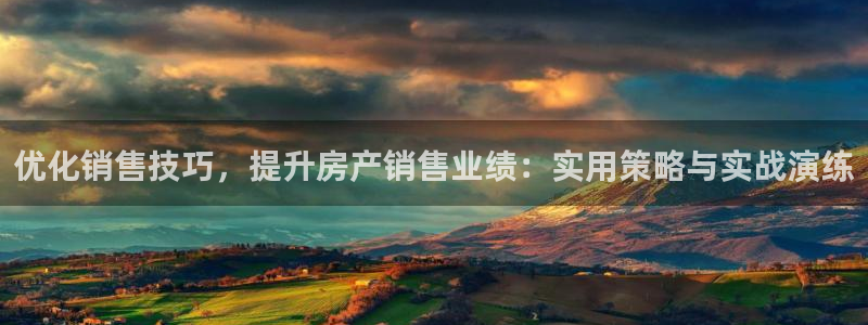 新宝5娱乐登录：优化销售技巧，提升房产销售业绩：实用策略与实
