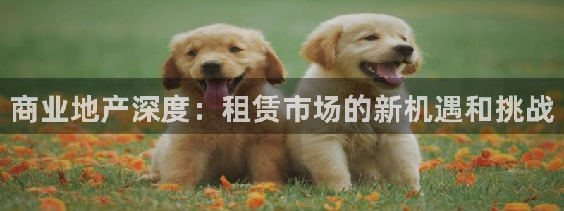 新宝5登录注册：商业地产深度：租赁市场的新机遇和挑战