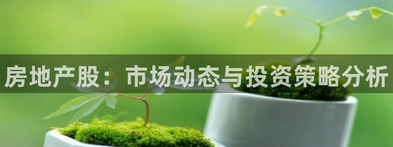 新宝5彩票娱乐平台：房地产股：市场动态与投资策略分析