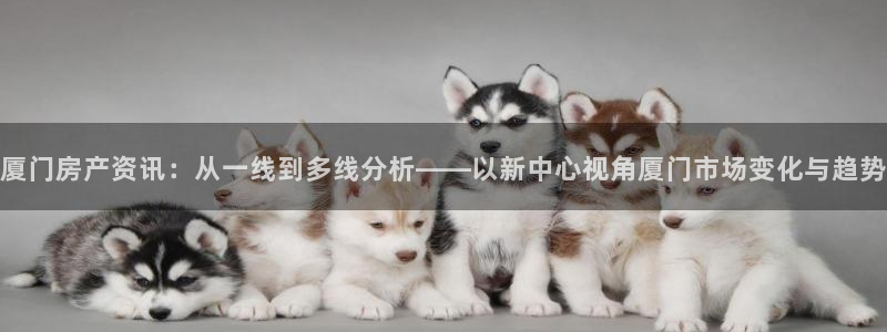 新宝娱乐5：厦门房产资讯：从一线到多线分析——以新中心视角厦
